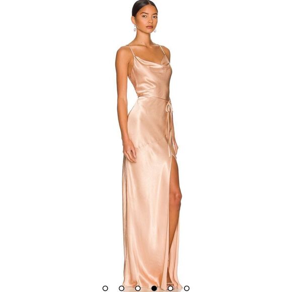 NWT Shona Joy Bias Cowl Maxi Dress Revolve Desert Rose Size 4 - Picture 14 of 14